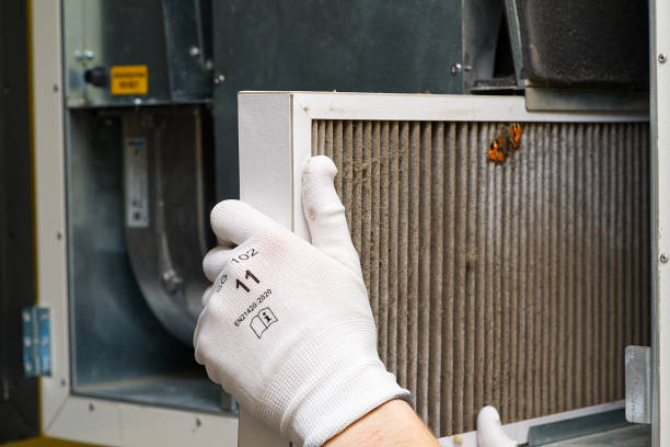 Best Professional Duct Cleaning Services  in The Hills, NJ